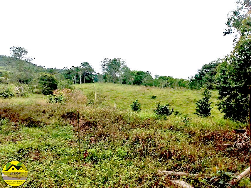 Fazenda à venda com 3 quartos, 30m² - Foto 24