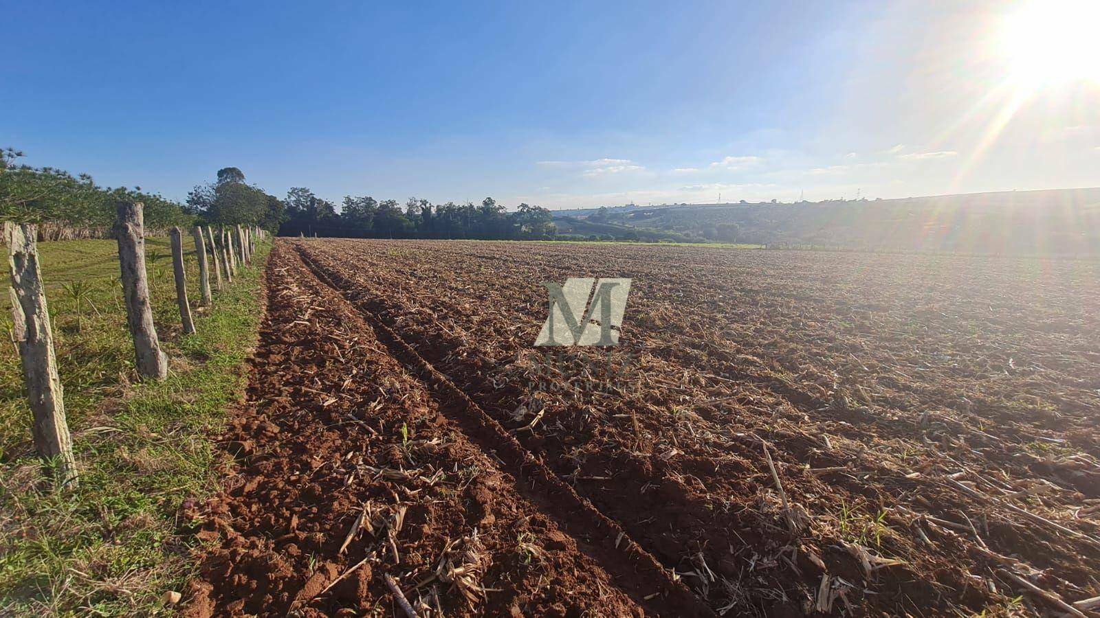 Terreno à venda, 123726M2 - Foto 6