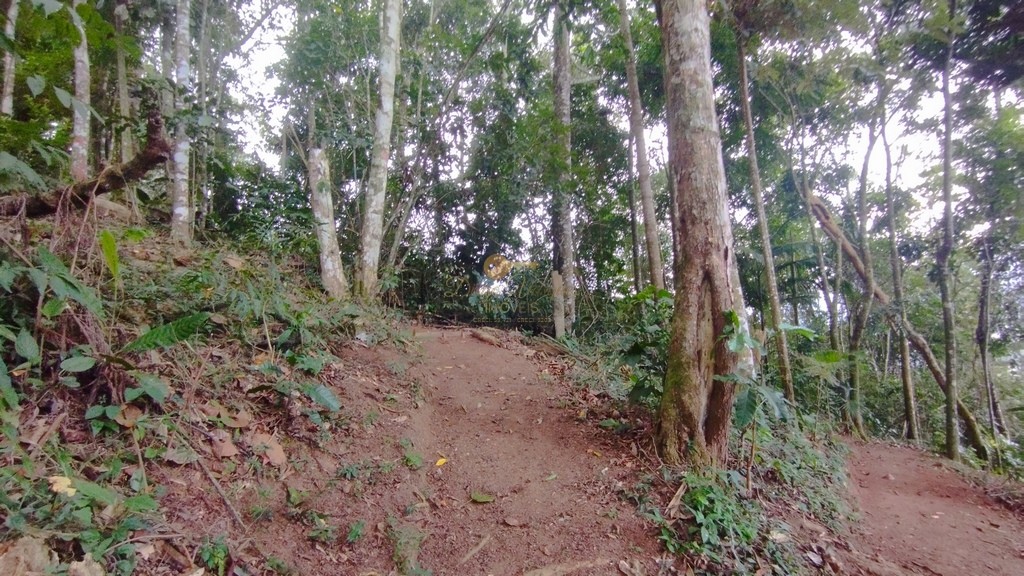 Terreno à venda, 488m² - Foto 5