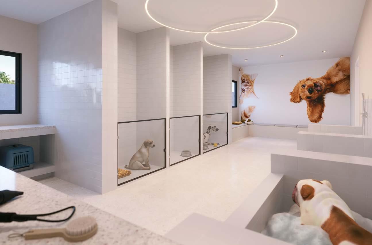 Apartamento à venda com 2 quartos, 53m² - Foto 29