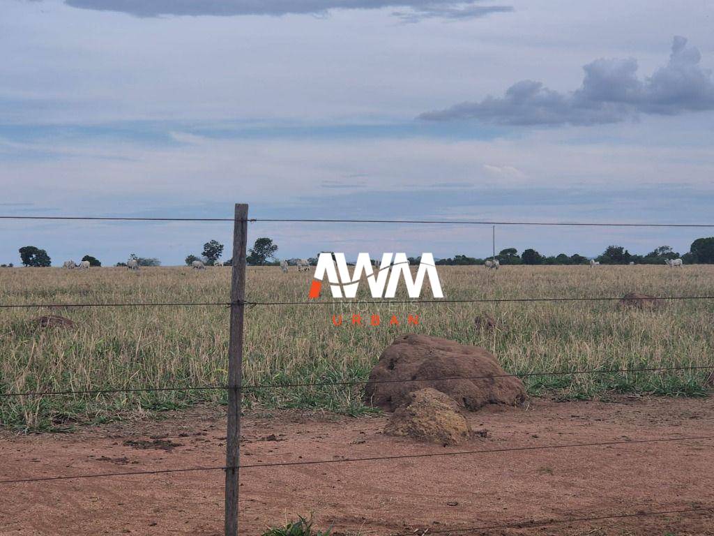 Fazenda, 944 hectares - Foto 1