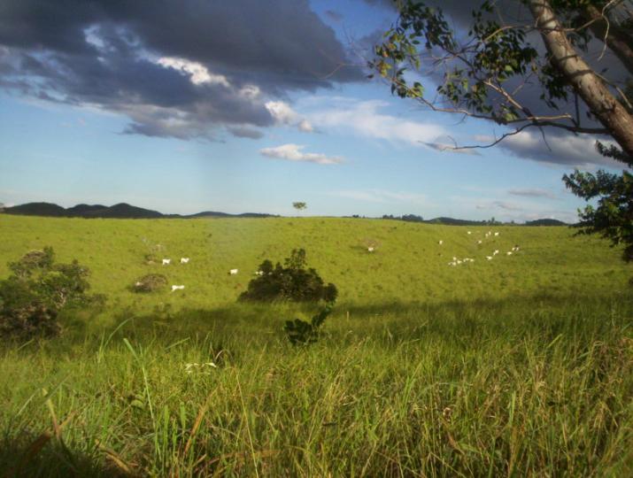 Chácara à venda com 5 quartos - Foto 8