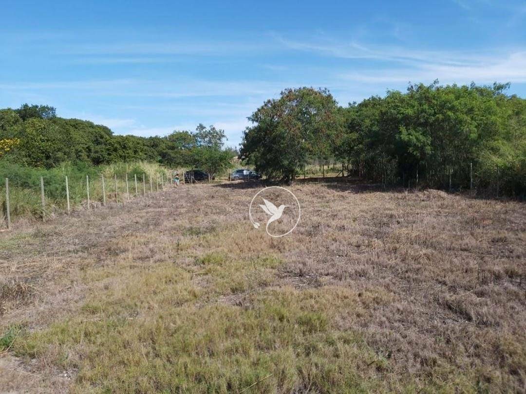 Terreno à venda, 1000M2 - Foto 2