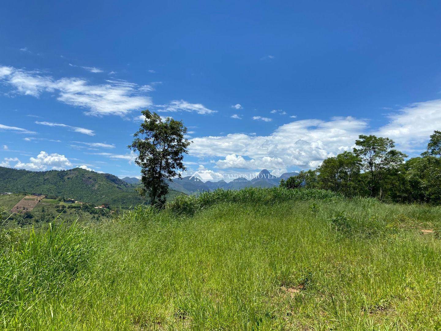 Terreno à venda, 5000M2 - Foto 3