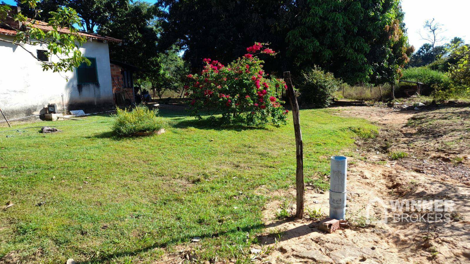 Fazenda à venda com 2 quartos, 4500000M2 - Foto 34