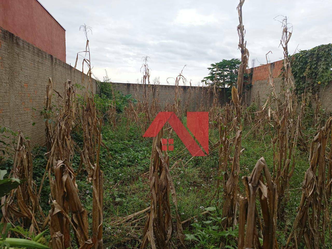 Terreno à venda, 200M2 - Foto 6