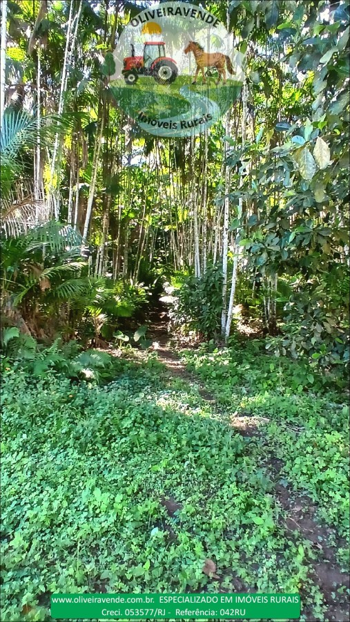 Fazenda à venda com 5 quartos, 96m² - Foto 11