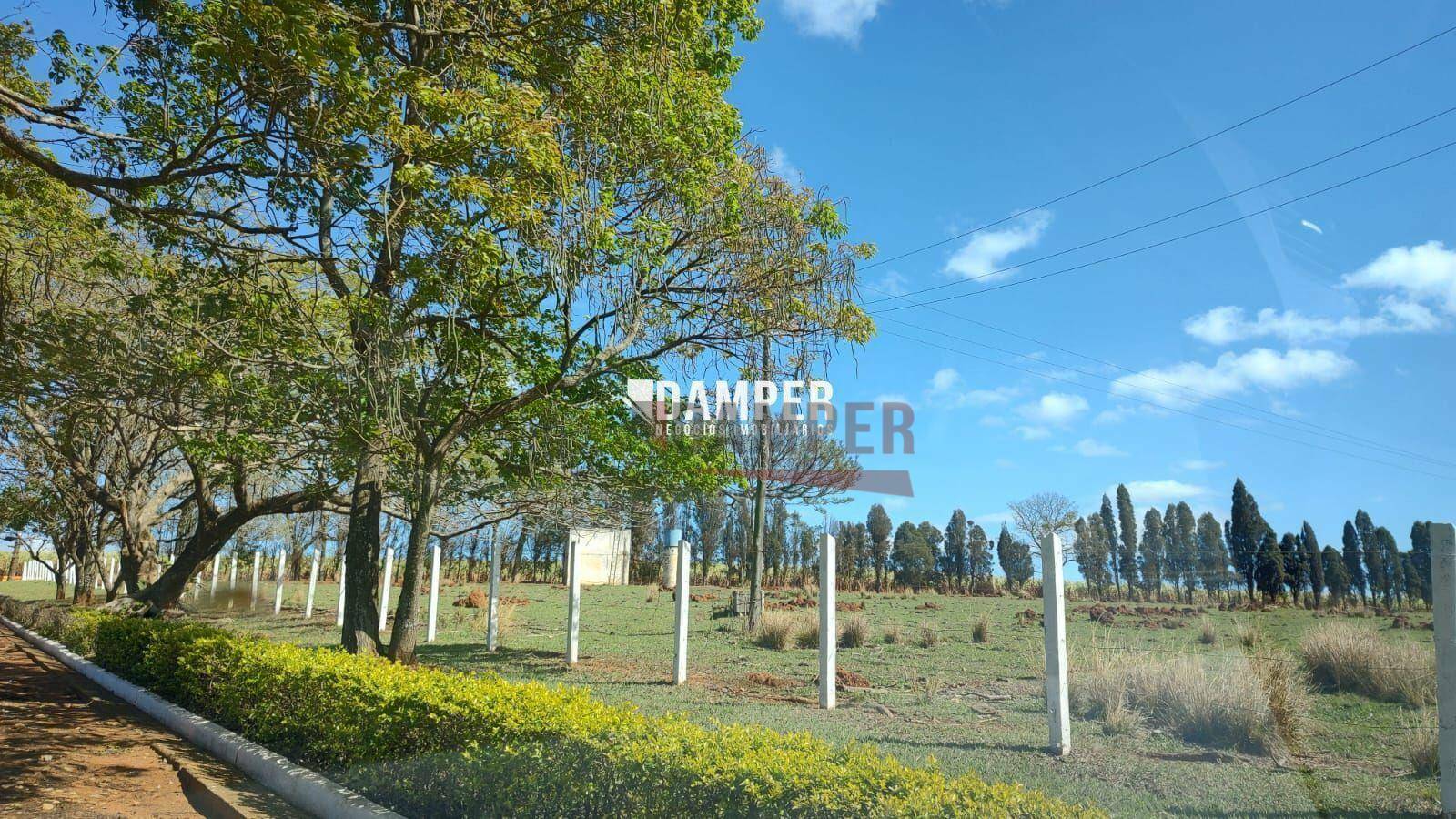 Sítio à venda com 5 quartos, 217800M2 - Foto 14