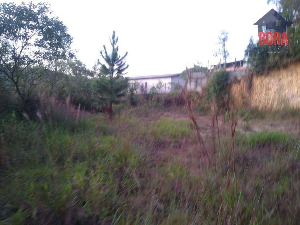 Terreno à venda, 1300M2 - Foto 5