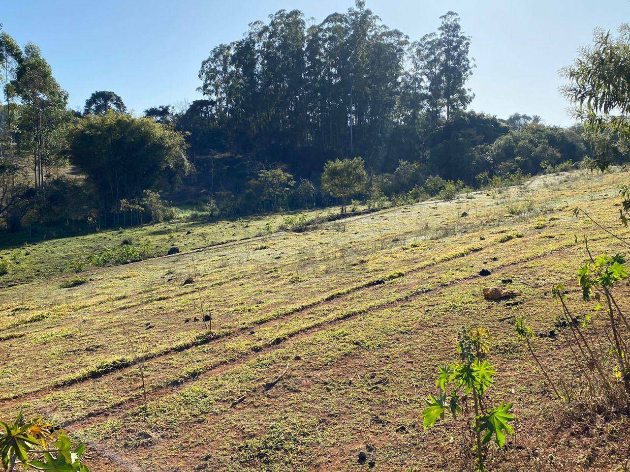 Sítio à venda, 140000M2 - Foto 5