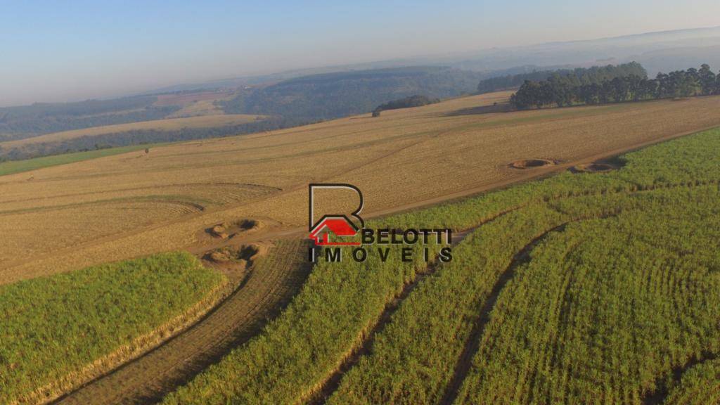 Fazenda-Sítio-Chácara, 203 hectares - Foto 2