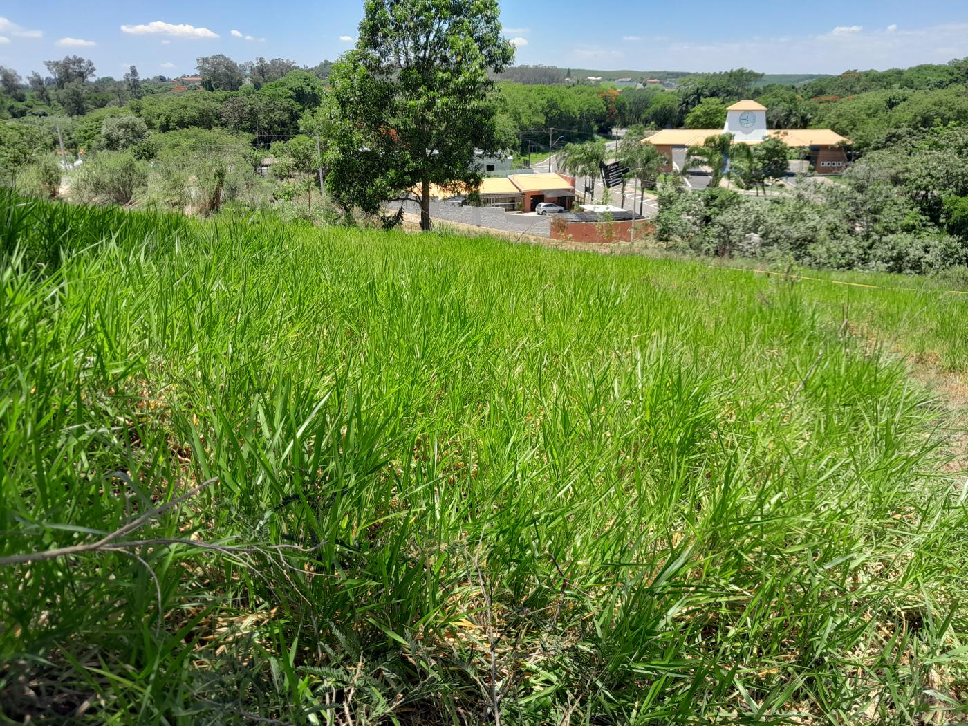 Terreno à venda, 502m² - Foto 3