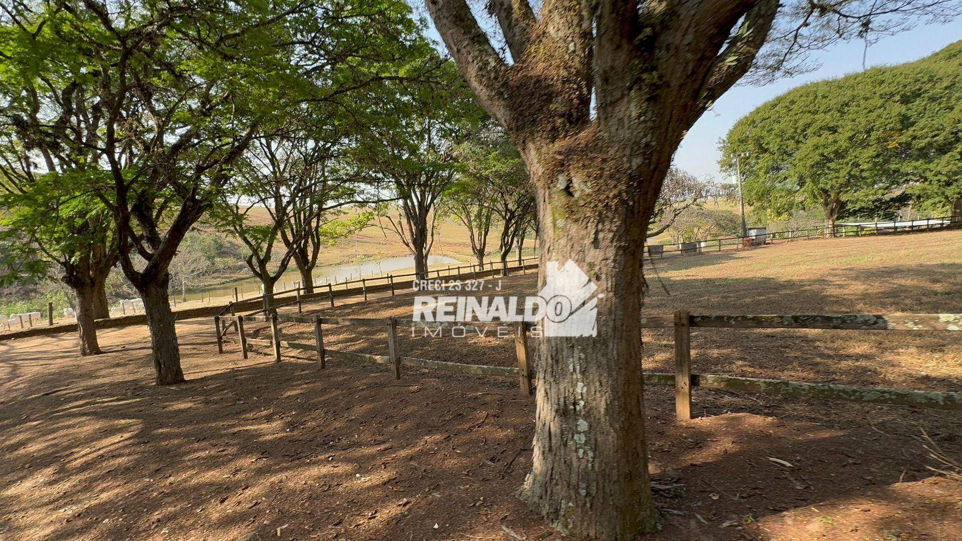 Haras e Área Rural Padrão à venda com 8 quartos, 5000m² - Foto 122