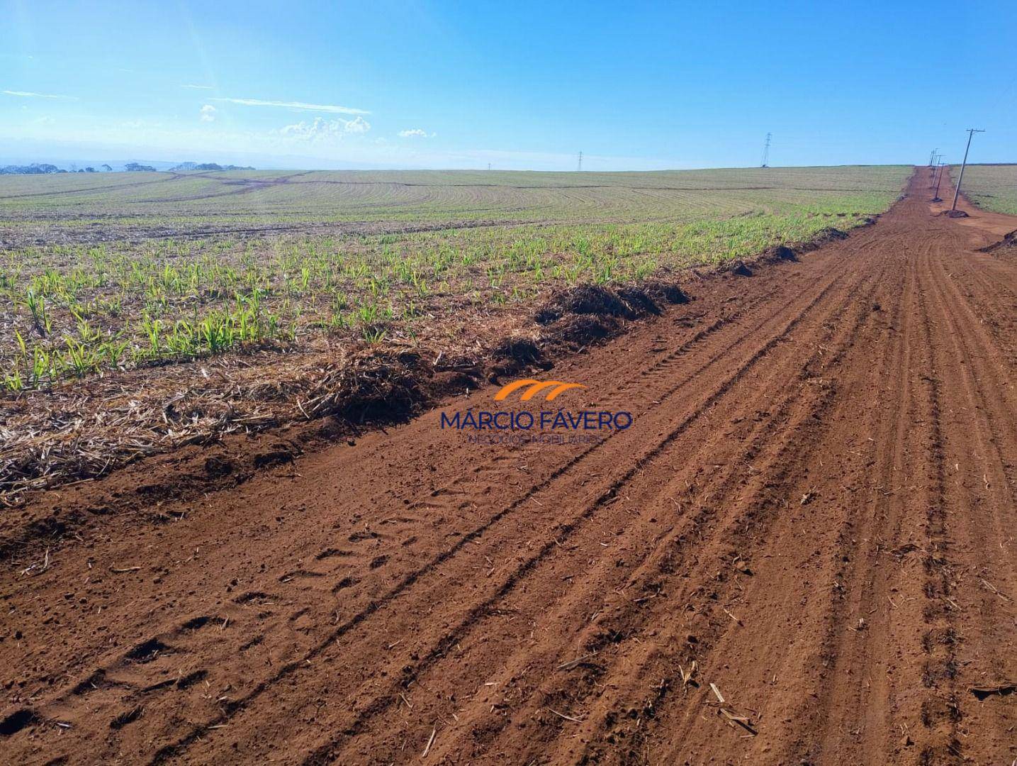 Fazenda-Sítio-Chácara, 298 hectares - Foto 2