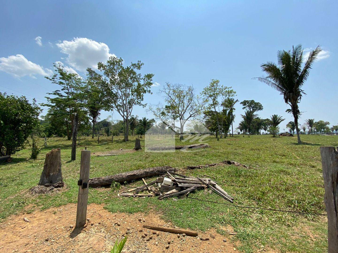 Fazenda à venda com 3 quartos, 2420000M2 - Foto 25