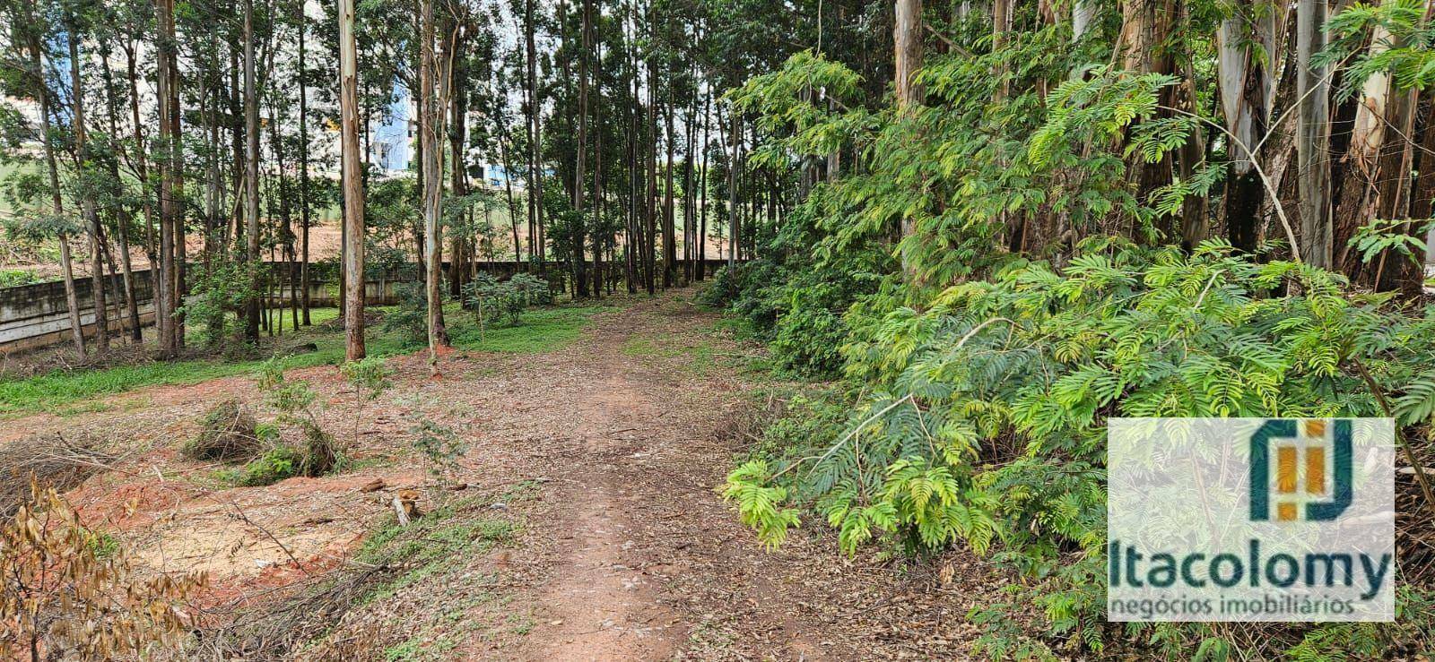 Loteamento e Condomínio à venda, 1682M2 - Foto 4