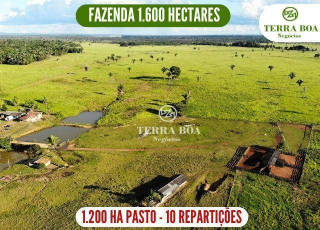 Fazenda-Sítio-Chácara, 1600 hectares - Foto 1