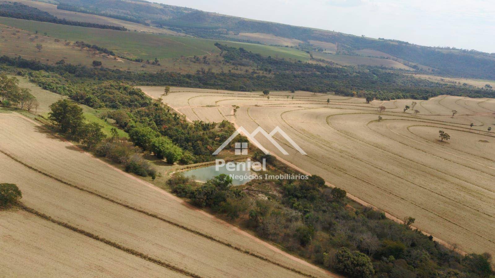 Fazenda à venda, 500m² - Foto 10