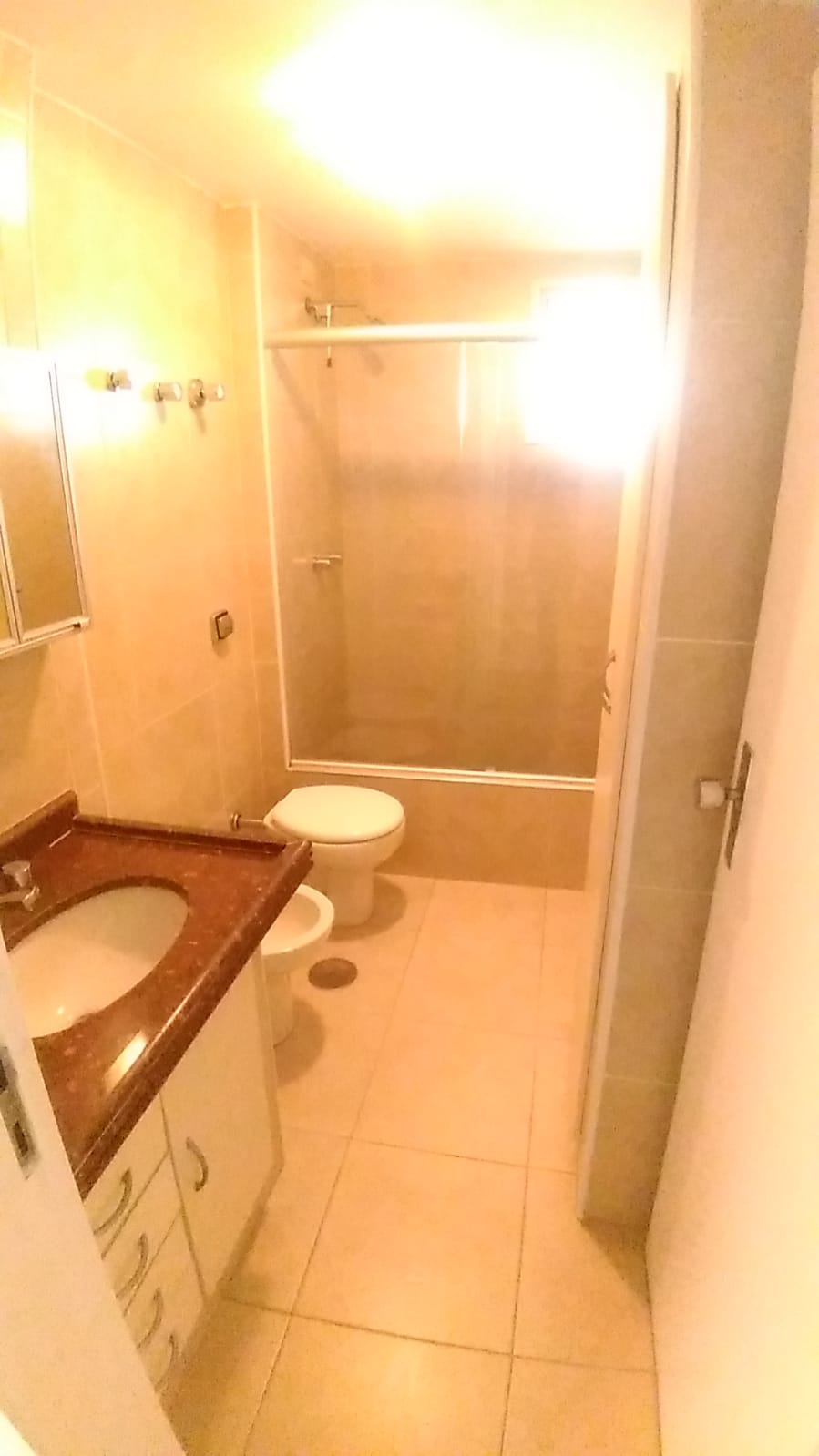 Apartamento à venda com 3 quartos, 113m² - Foto 12