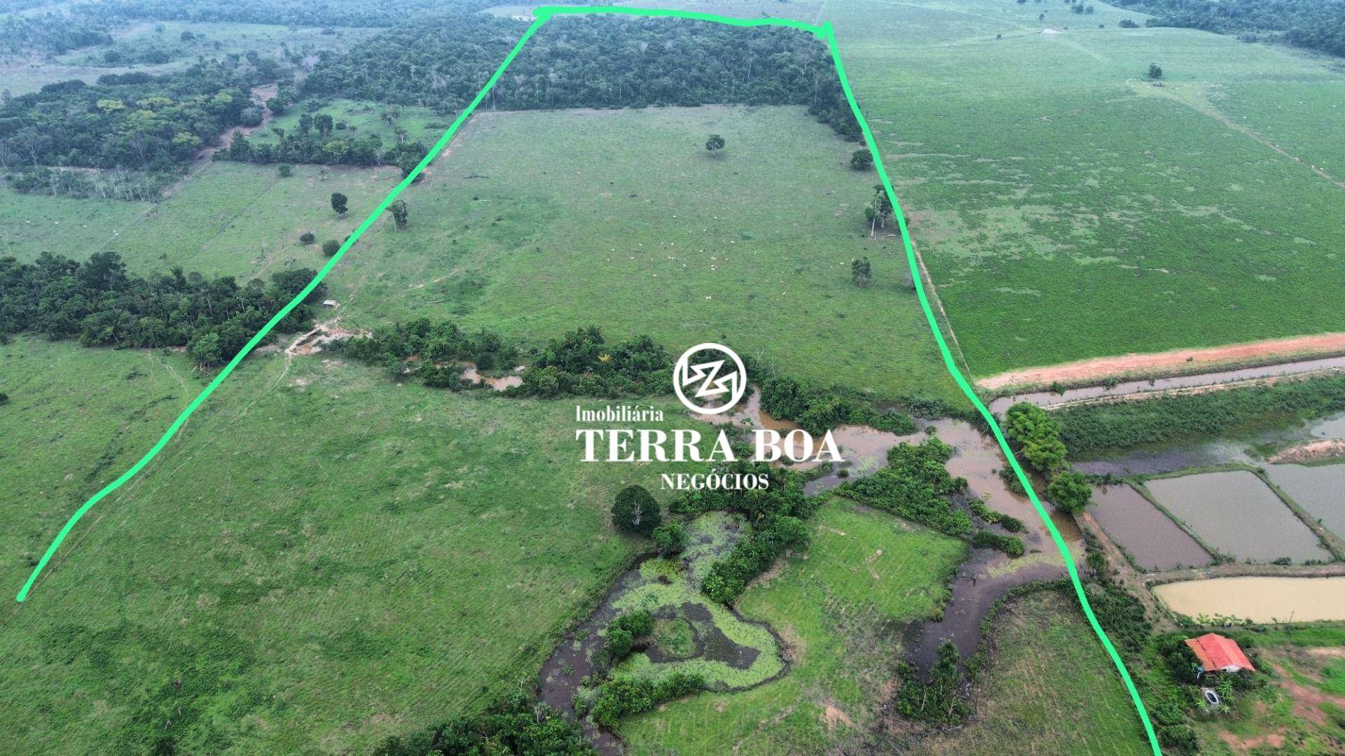 Sítio, 73 hectares - Foto 5