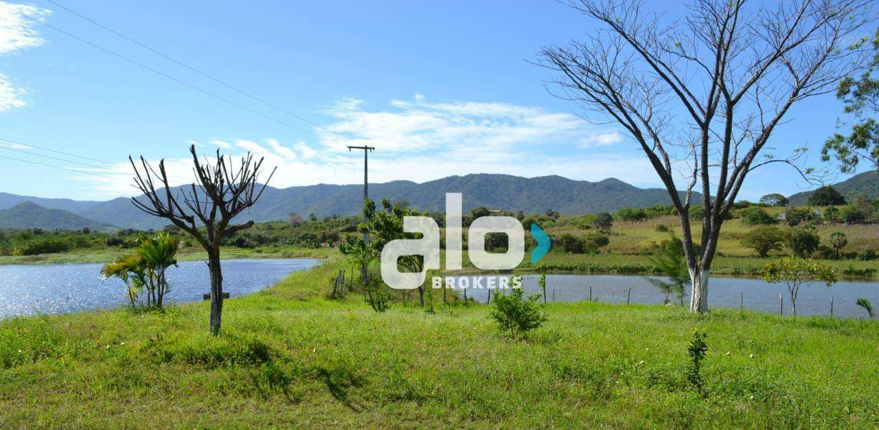 Fazenda-Sítio-Chácara, 52 hectares - Foto 1