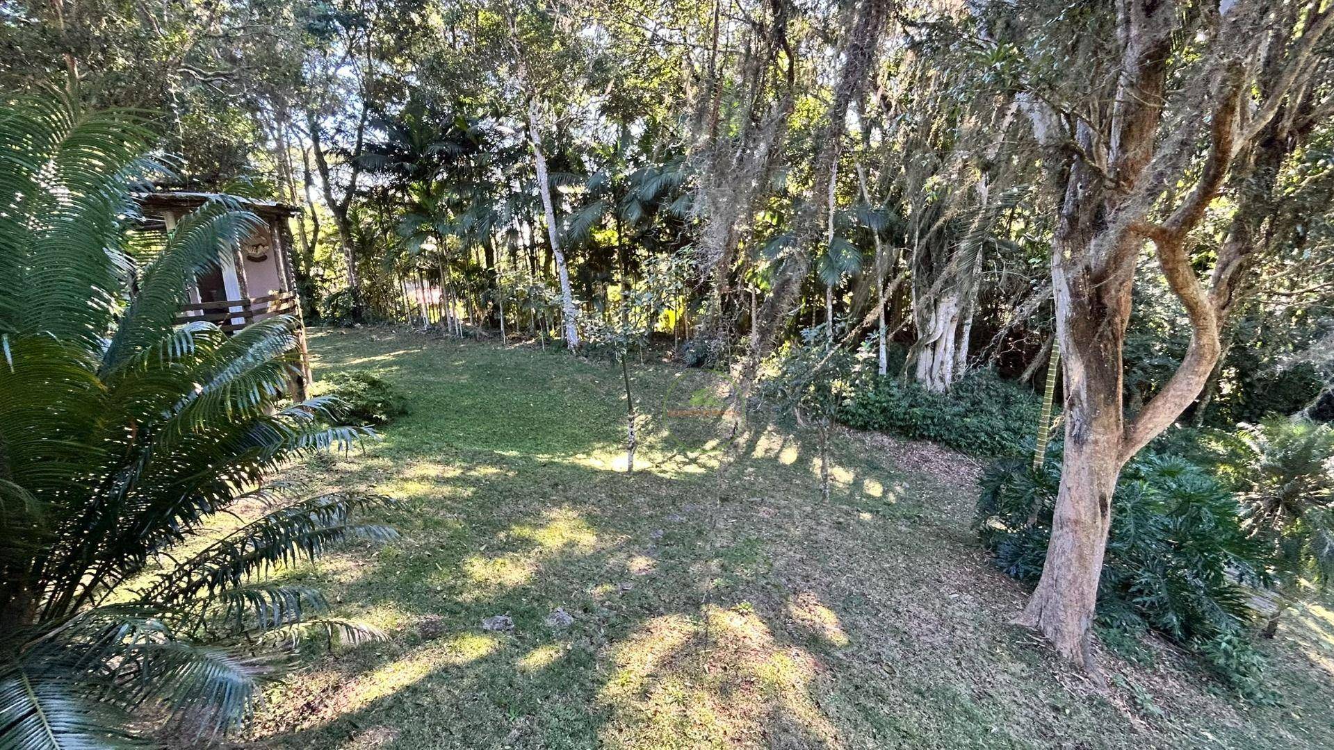 Sítio, 14 hectares - Foto 32