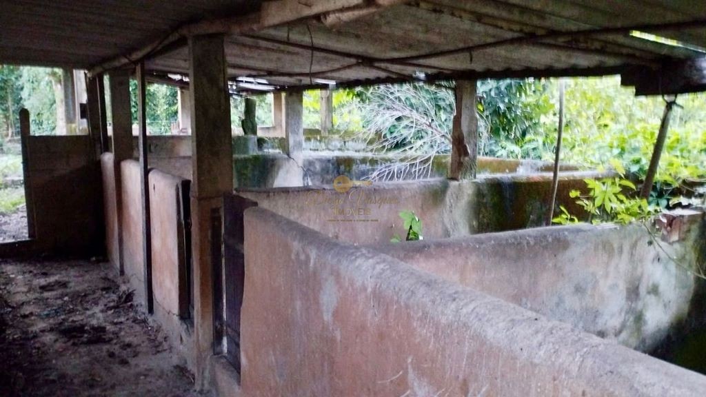 Fazenda à venda com 2 quartos, 90000m² - Foto 18