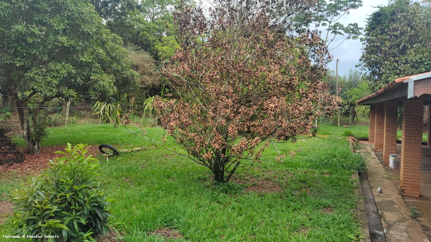 Fazenda para alugar com 2 quartos, 5000m² - Foto 23