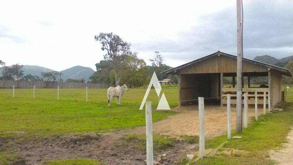 Sítio à venda, 100m² - Foto 3