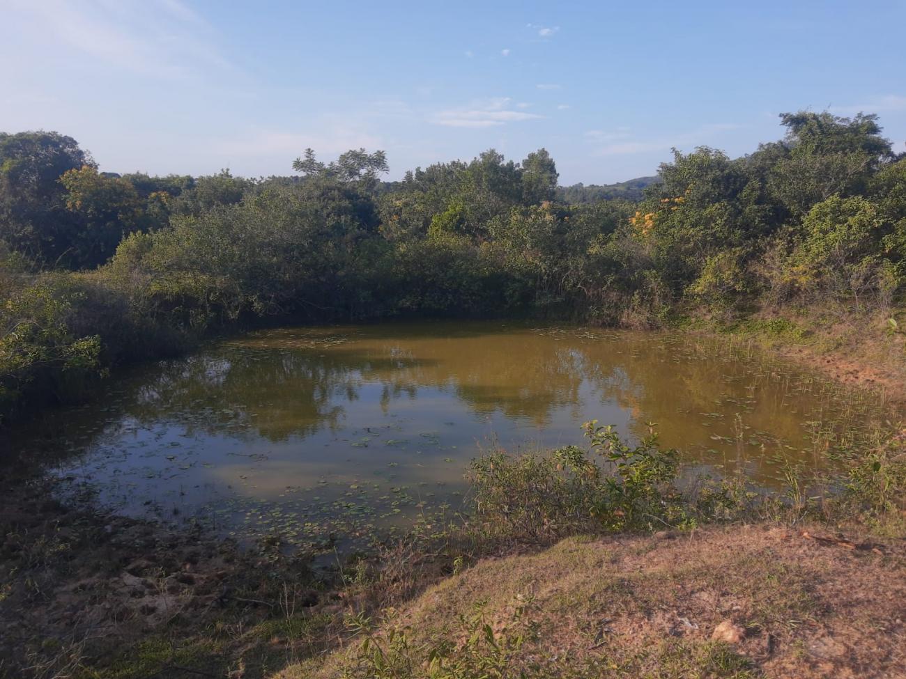 Fazenda à venda - Foto 5