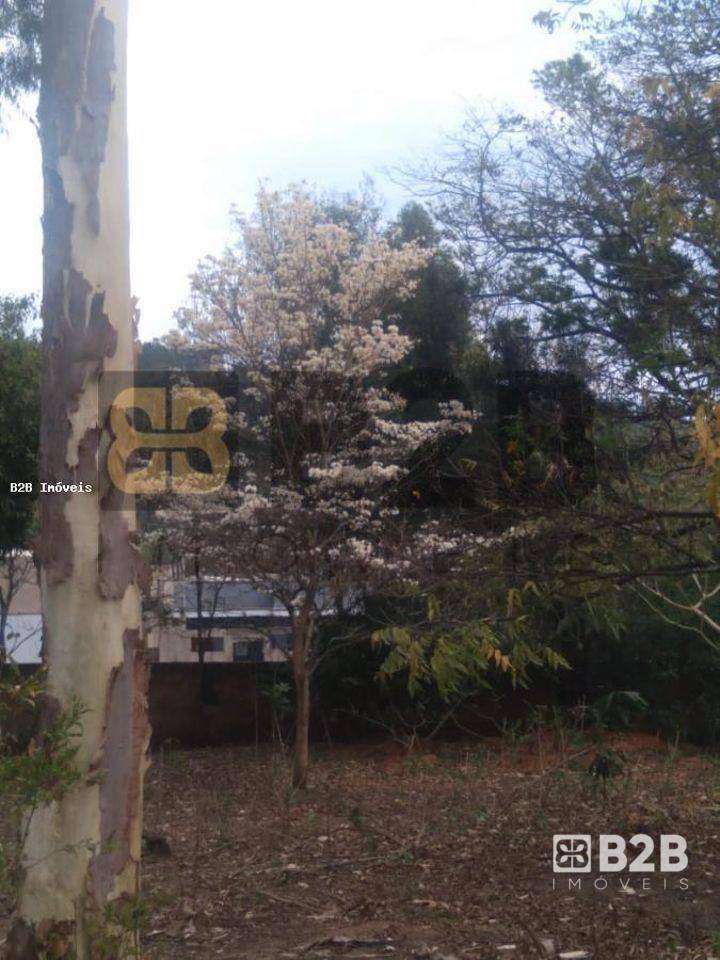 Casa à venda com 2 quartos, 2000M2 - Foto 4