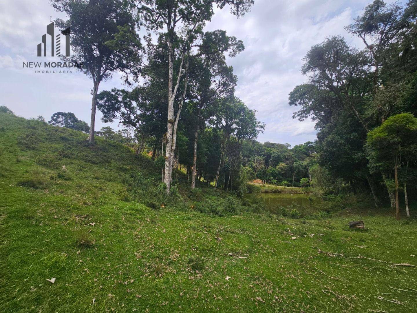 Chácara à venda com 4 quartos, 90m² - Foto 12