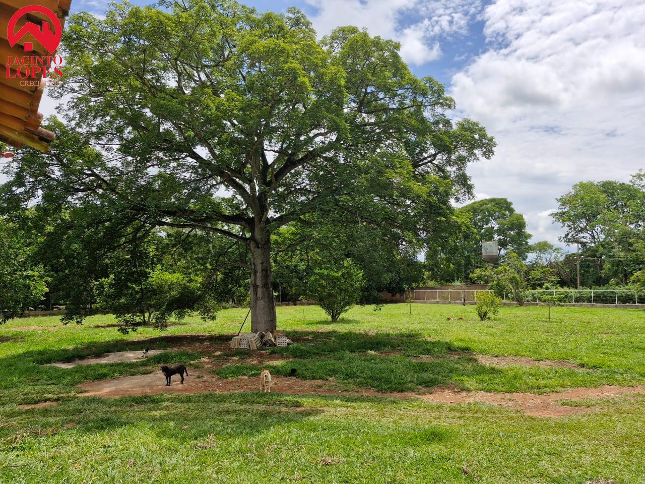 Fazenda à venda com 3 quartos, 250m² - Foto 3