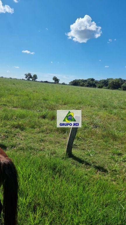 Fazenda à venda, 1766600M2 - Foto 22