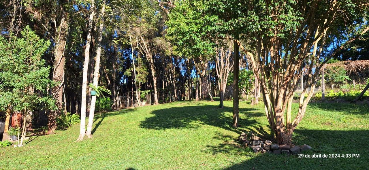 Chácara, 3 quartos, 6448 m² - Foto 5