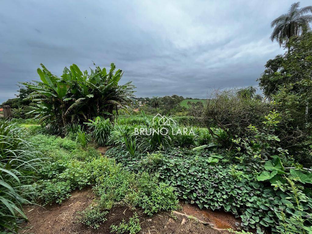 Terreno à venda, 20000M2 - Foto 17