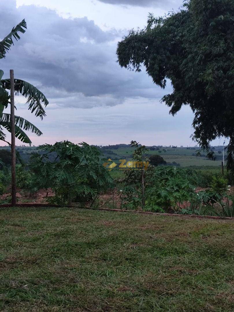 Chácara à venda com 2 quartos, 30000M2 - Foto 12
