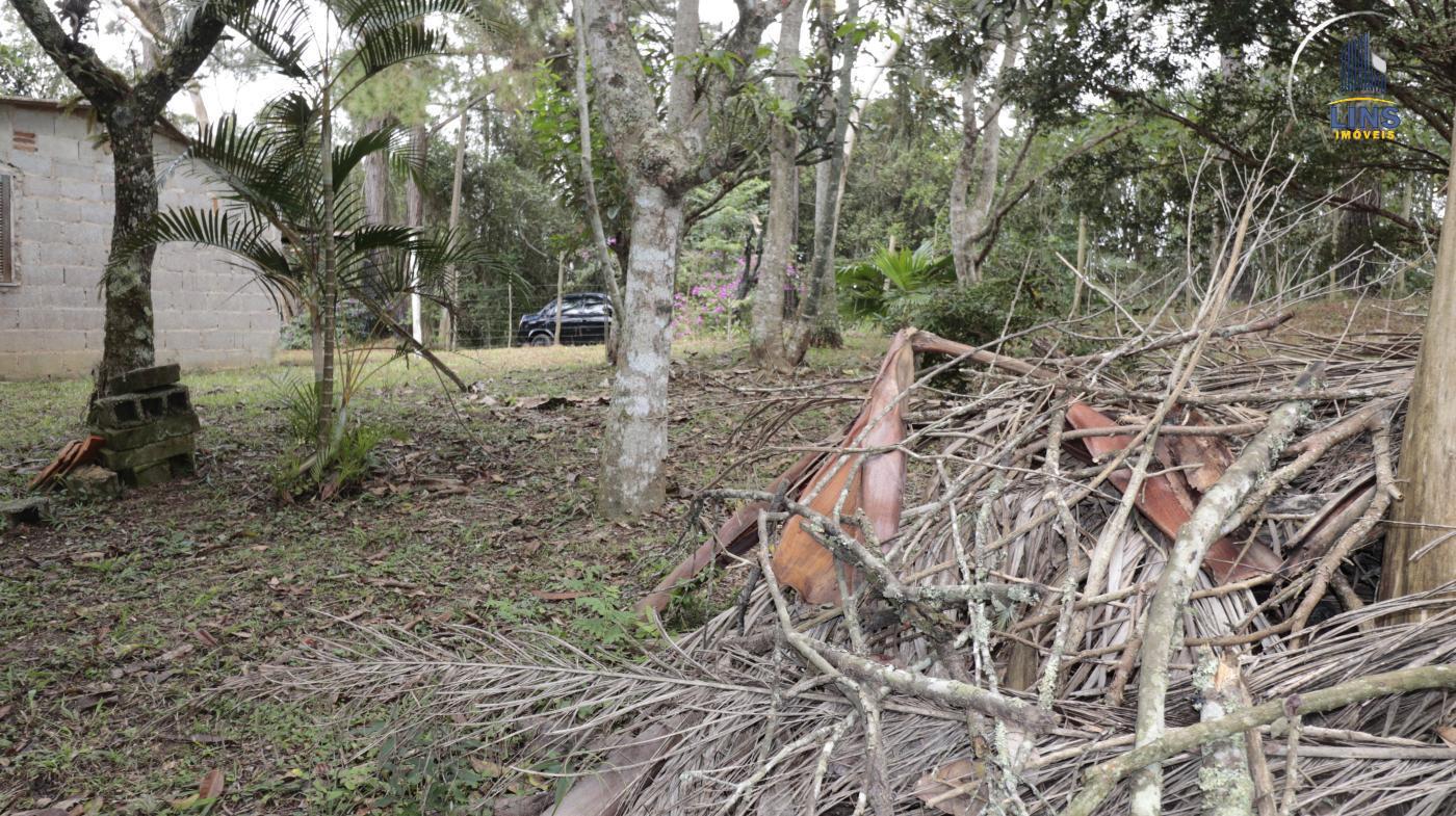 Fazenda à venda com 2 quartos, 50m² - Foto 5