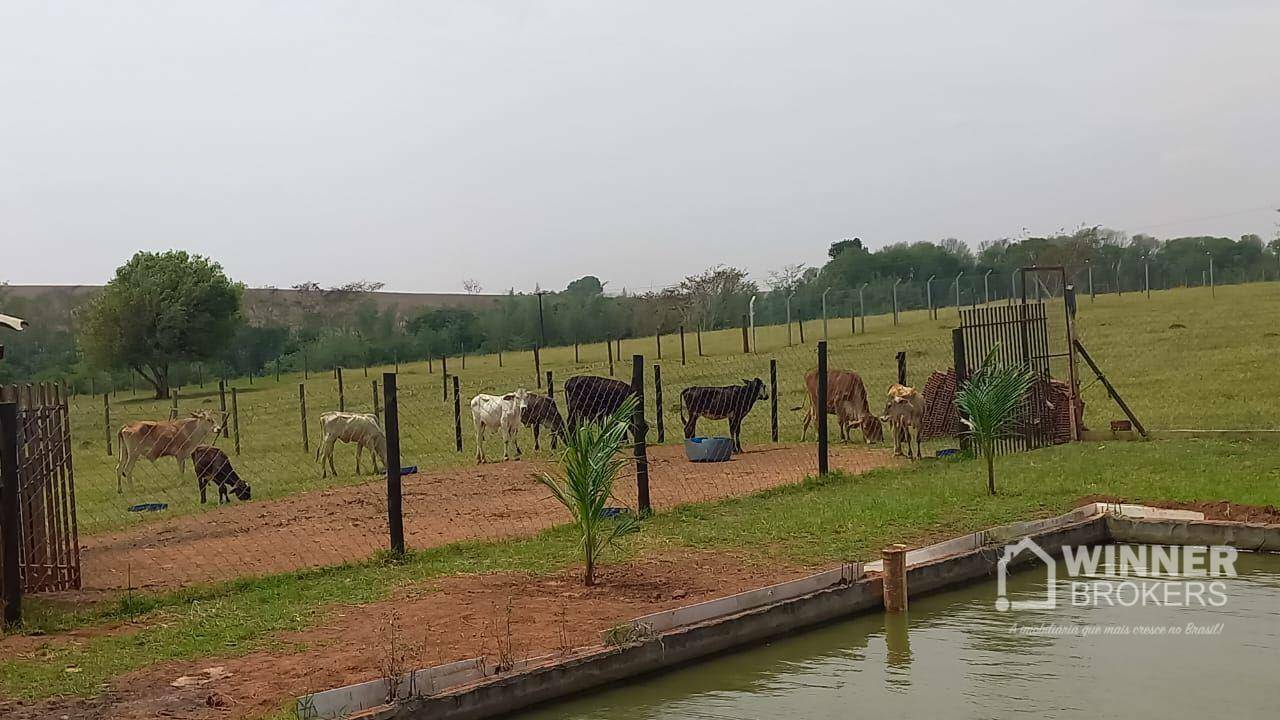 Chácara à venda com 1 quarto, 20000M2 - Foto 1