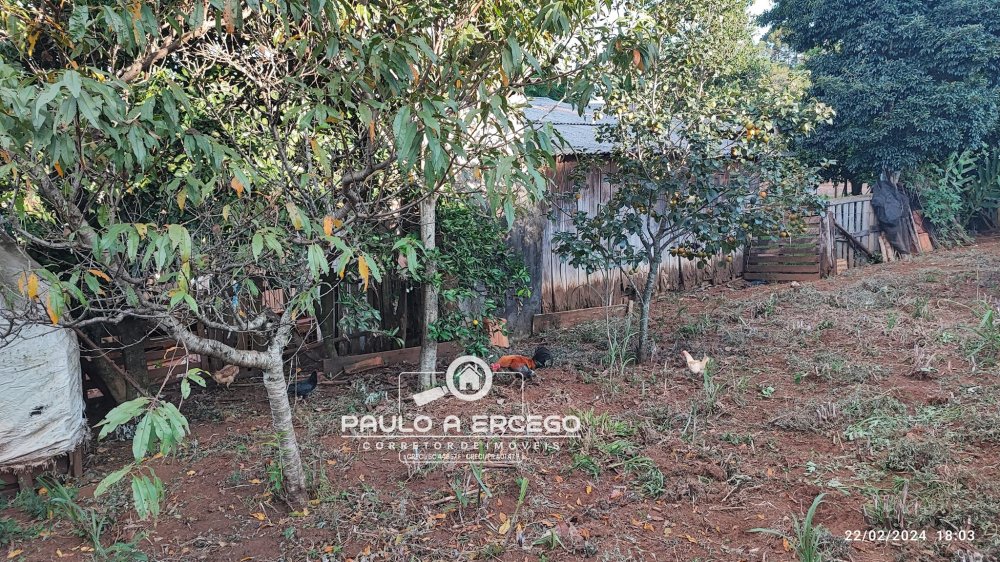 Casa, 2 quartos, 719 m² - Foto 6