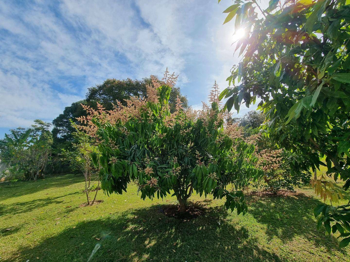 Casa de Condomínio à venda com 3 quartos, 210m² - Foto 15