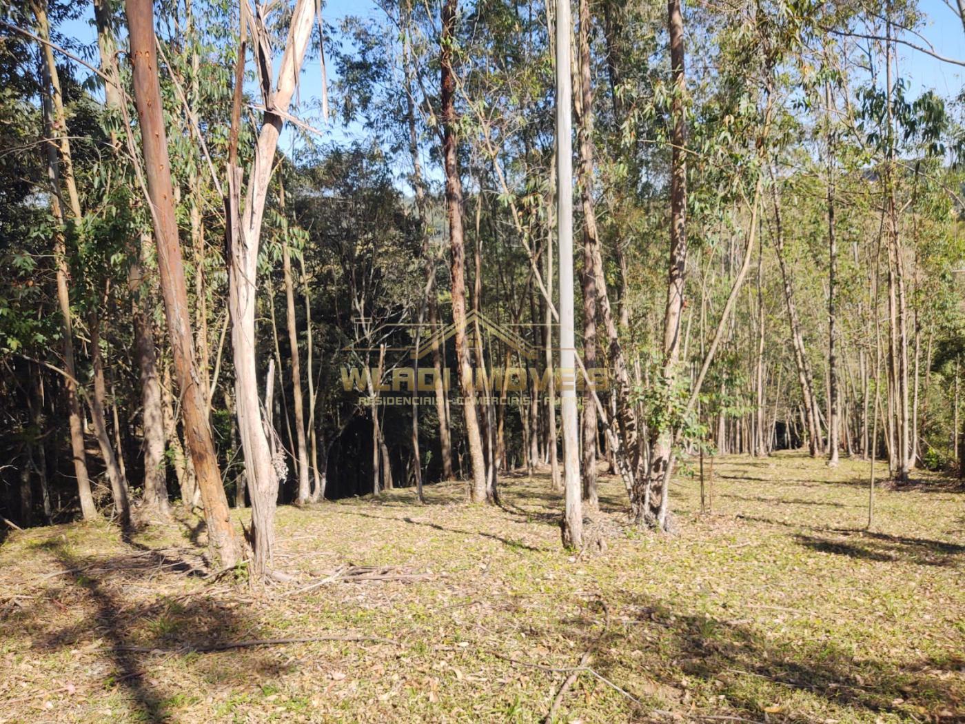 Fazenda à venda, 36000m² - Foto 16