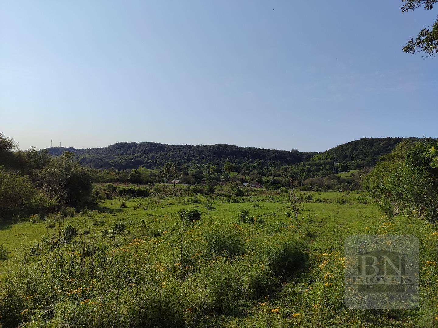 Terreno, 13 hectares - Foto 5