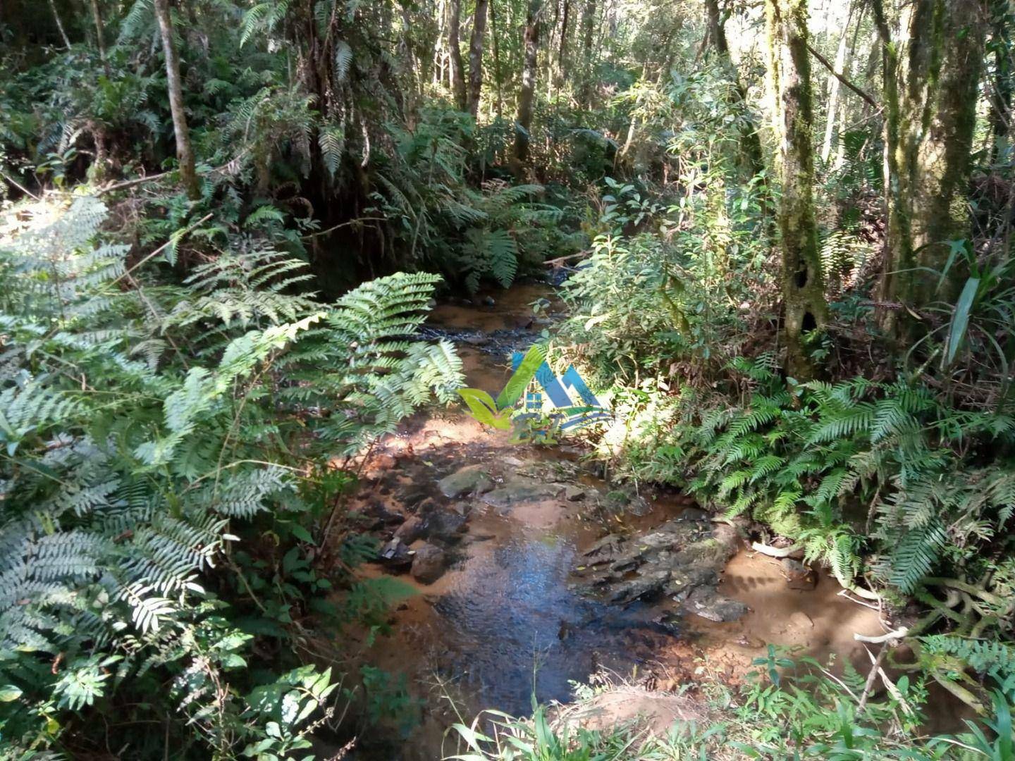 Chácara à venda com 30 quartos, 85000M2 - Foto 4