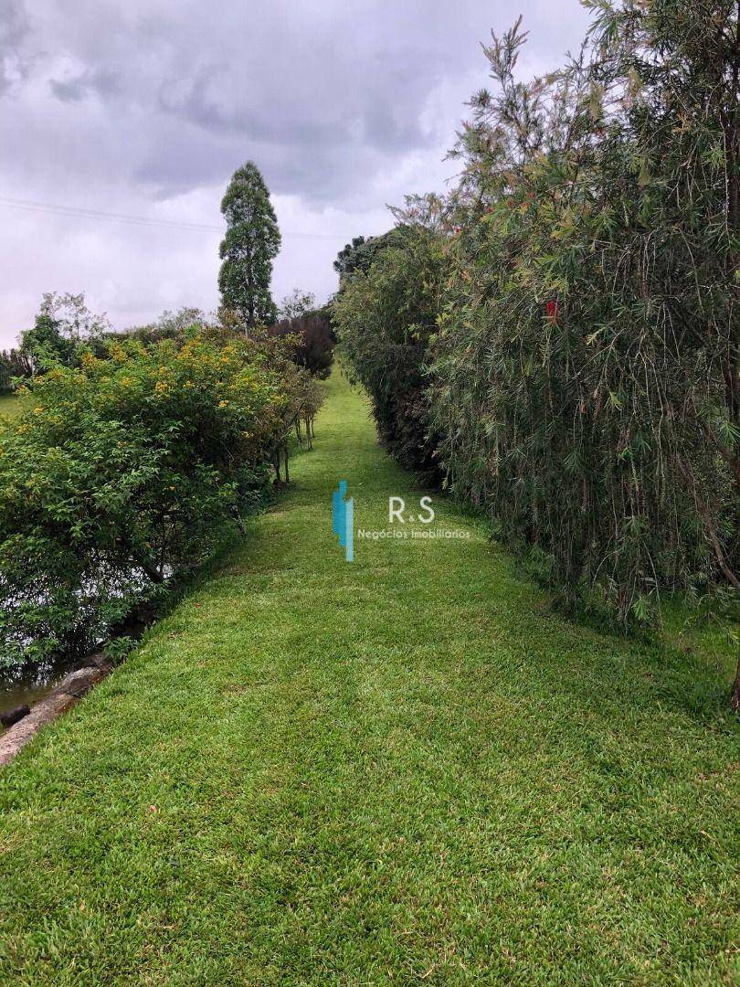 Sítio à venda com 4 quartos, 121000M2 - Foto 37