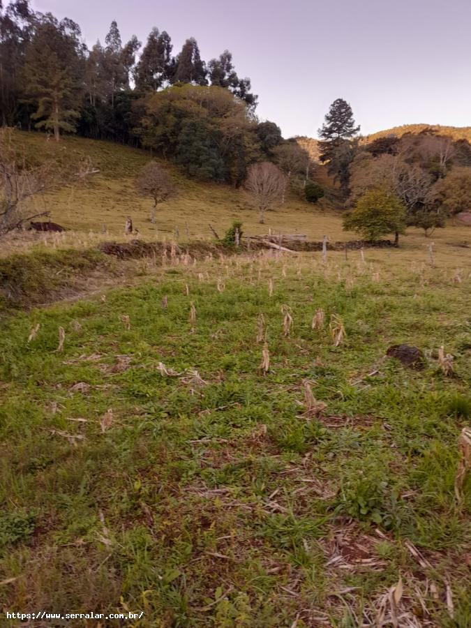 Fazenda à venda, 2m² - Foto 1