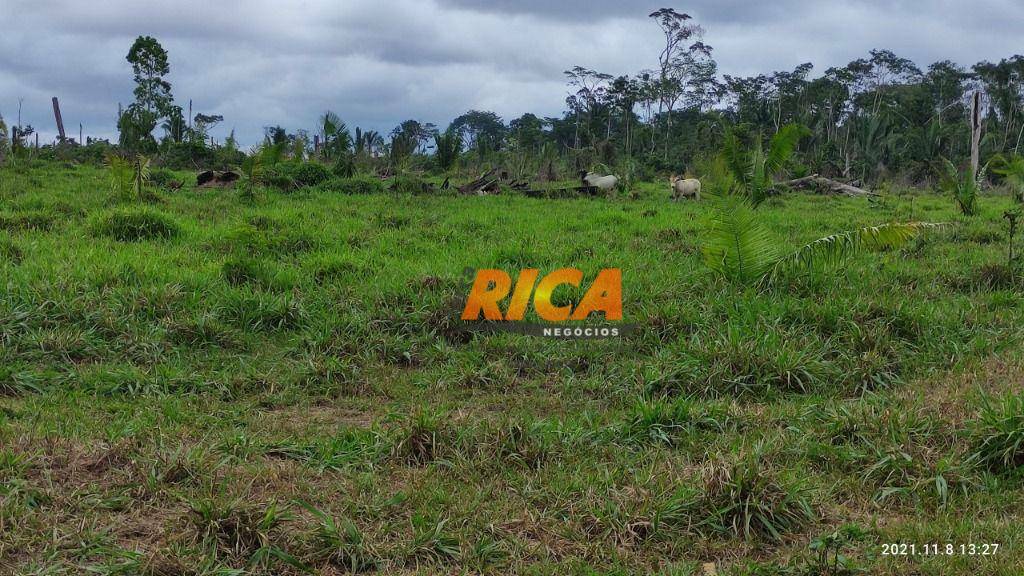 Fazenda à venda, 1070000M2 - Foto 5