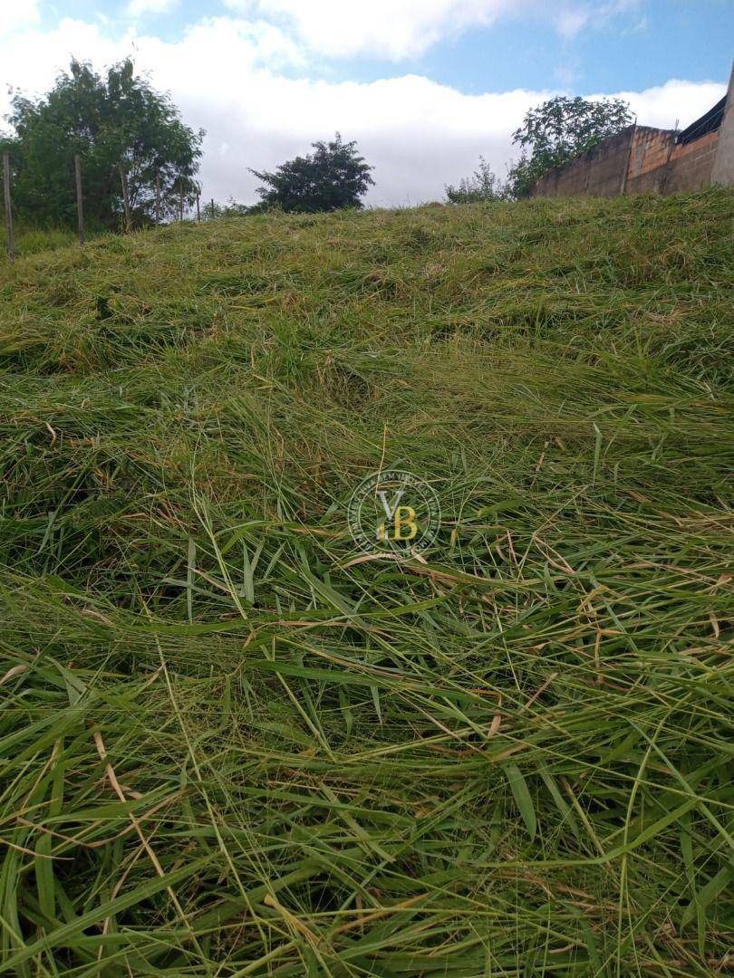 Terreno à venda, 500M2 - Foto 1