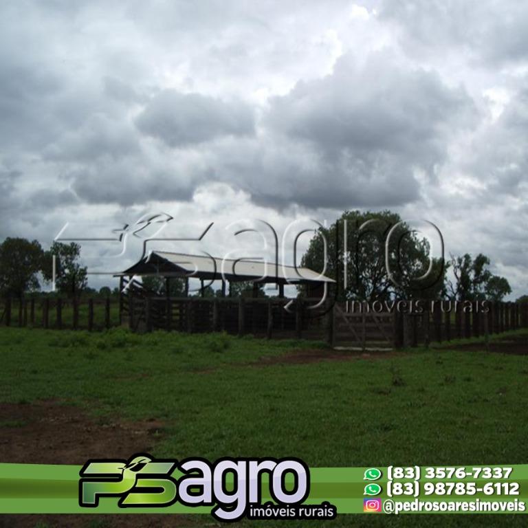 Fazenda-Sítio-Chácara, 83848 hectares - Foto 3