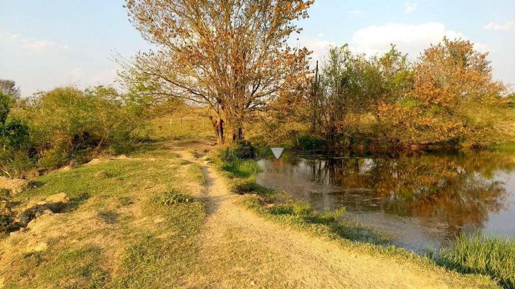 Terreno à venda, 250000M2 - Foto 4